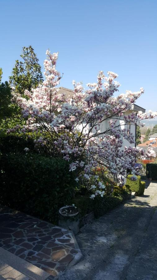 Bed and Breakfast Nel Giardino Di Oz Fornovo di Taro Exterior foto